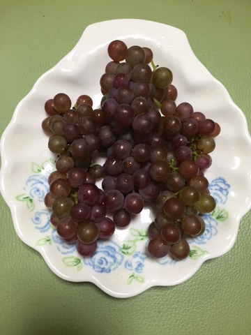 5f6a79a1.jpg