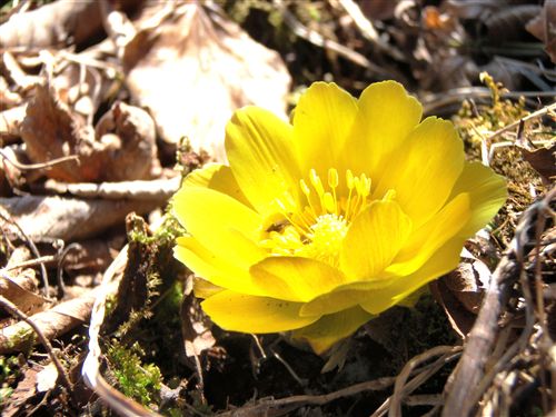 2012-02-12 134_R