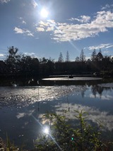 IMG_4973