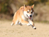 1f9255a7.jpg