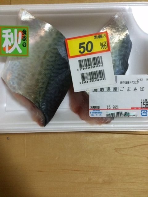 写真 54