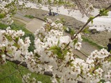 32c8dcde.jpg