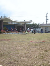 b01eef41.jpg