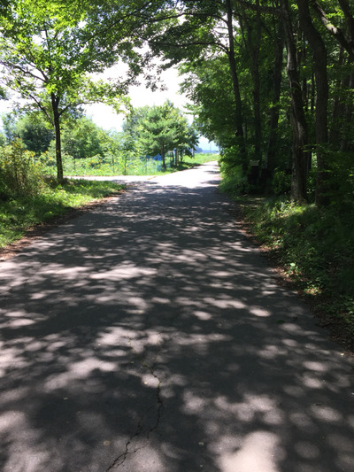 2016-08-10-12-31-15