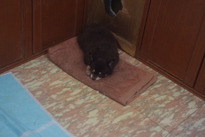 IMGP0984