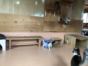 IMG_0212