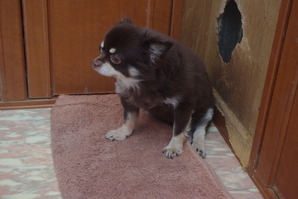 IMGP0989