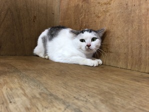 IMG_1733