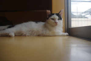 IMGP1105