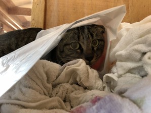 IMG_1732