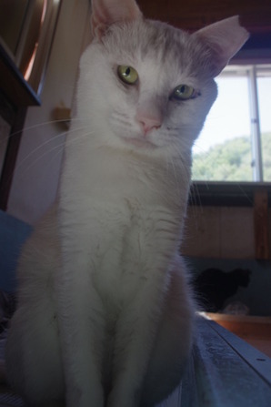 IMGP0805