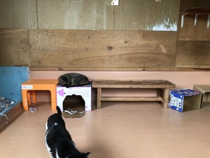 IMG_0208