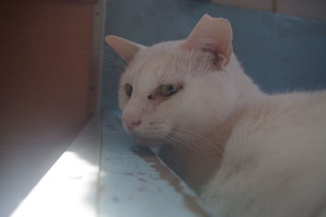 IMGP0800