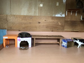 IMG_0210
