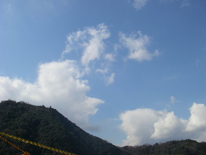 IMGP3282