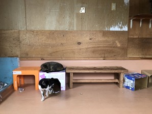 IMG_0207