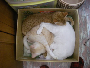 IMGP3220