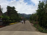 IMG_1612