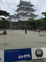 image1 (3)