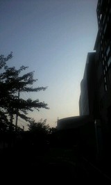 4b482a96.jpg