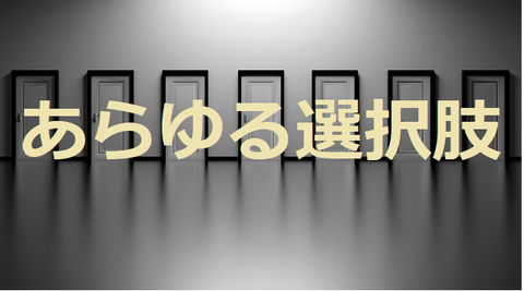 選択肢2
