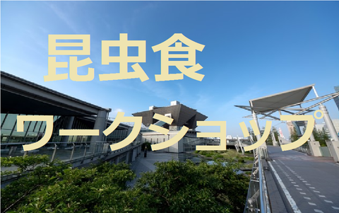 t無題