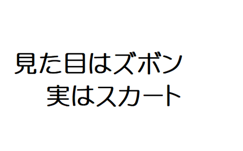 見た目ズボン