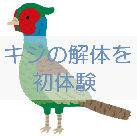 キジ