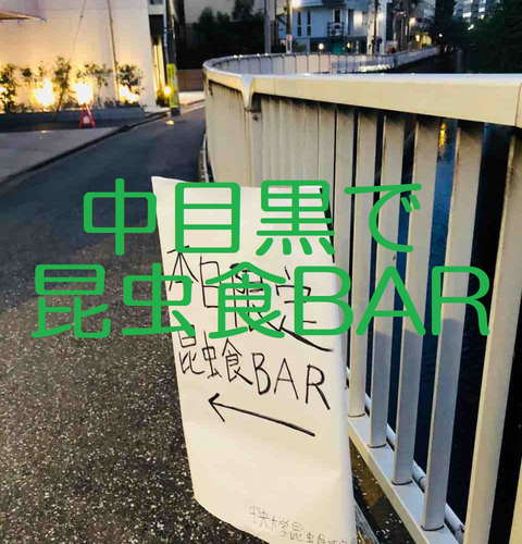 昆虫食BAR