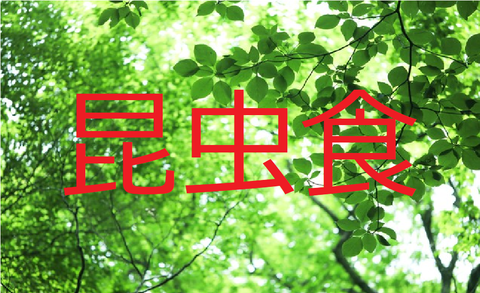 森2