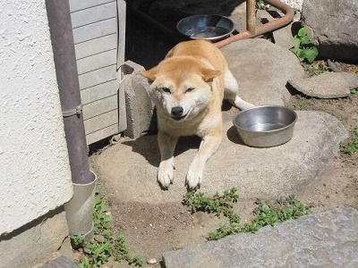 s-IMG_1203
