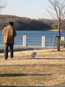 s-IMG_2906k
