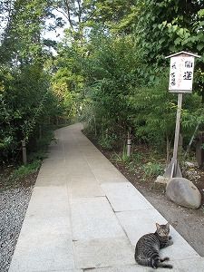 s-IMG_4608