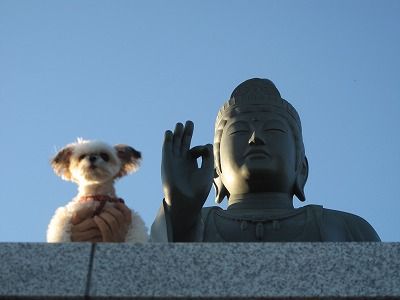s-IMG_4707
