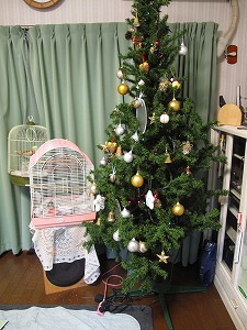 s-IMG_2408t
