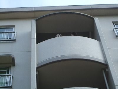 s-DSCF7304