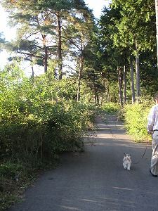 s-IMG_4699