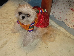IMG_3946