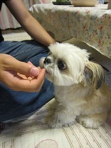 s-IMG_0912