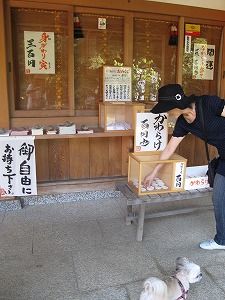 s-IMG_4599