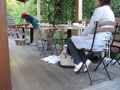 s-IMG_4651