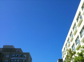 写真10