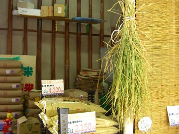 干した稲