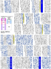 松本大輔国政だより特別編集版2面