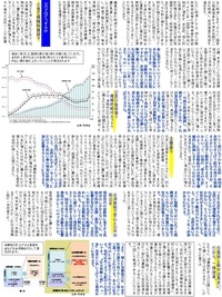 松本大輔国政だより特別編集版3面