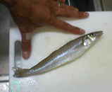 060902.jpg