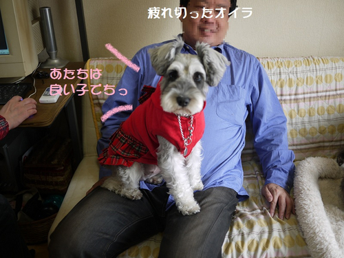 BlogPaint