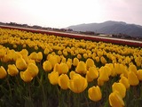 IMG_20120418_160632