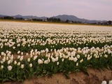 IMG_20120418_160043