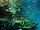 IMG_20120411_142621